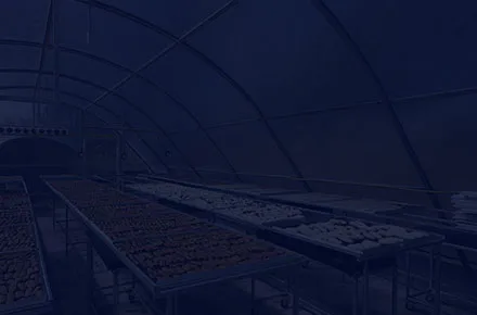 Top Heating Solutions for the Food Processing Industry