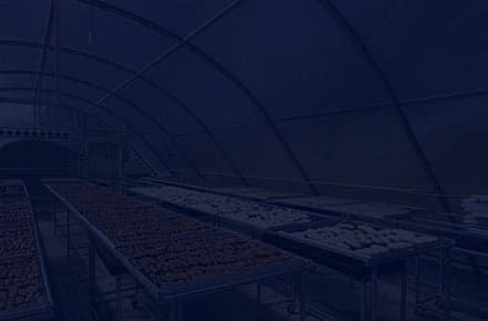 Top Heating Solutions for the Food Processing Industry